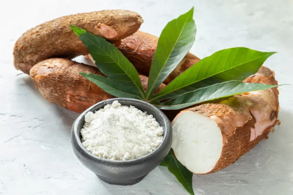 Manioc à GAILLARD