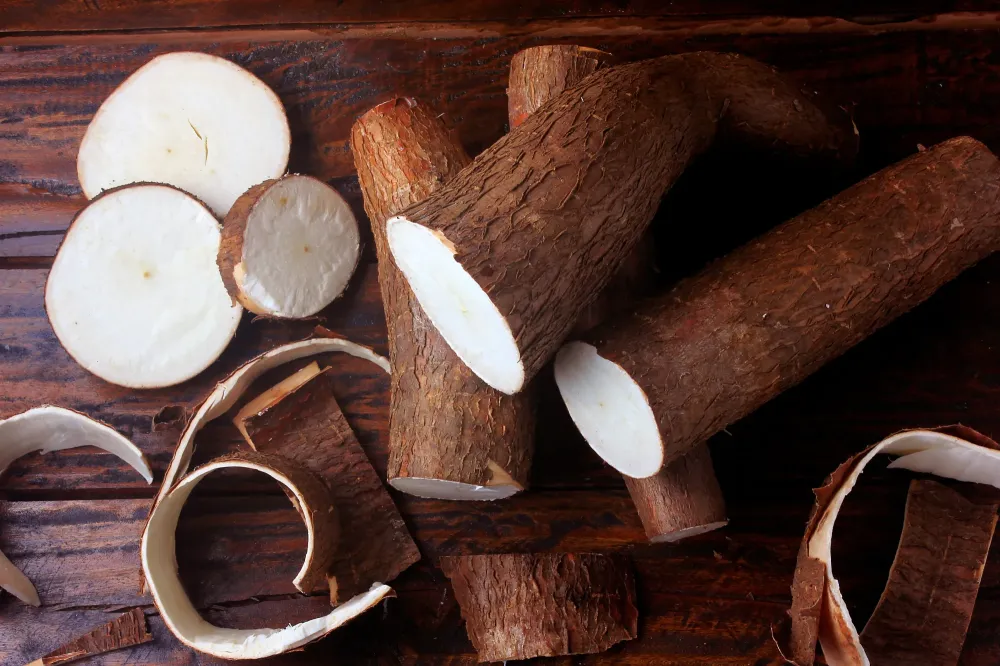 manioc (2)