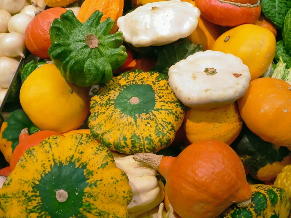 Courge