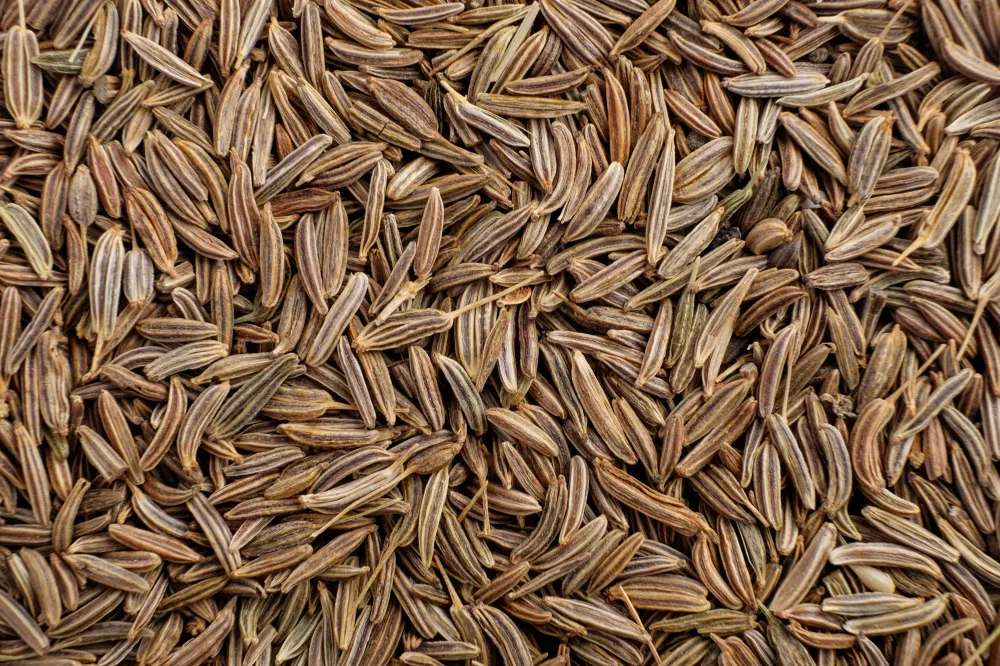 Cumin